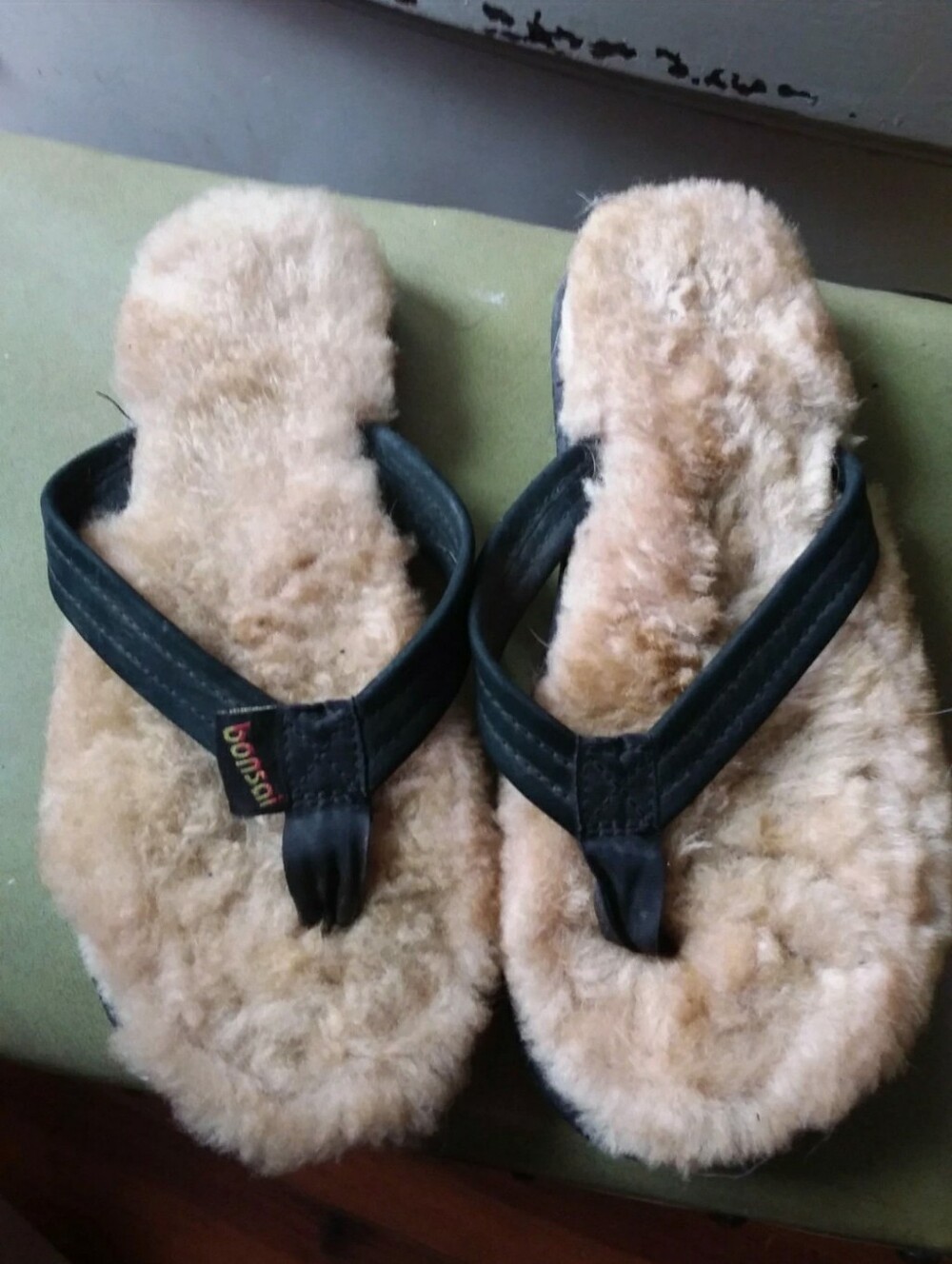 NWOT Bonsai flip flops Sz 7